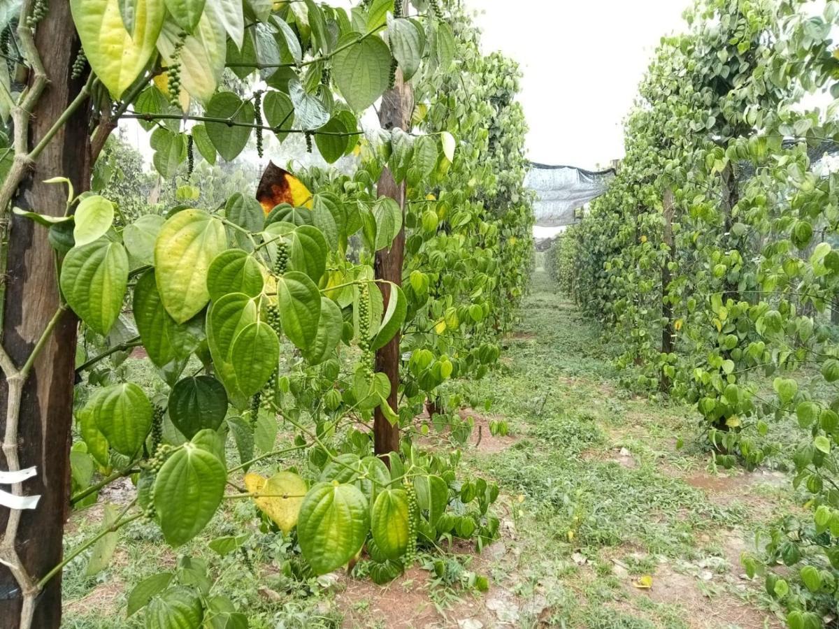 Ratanakiri Farmhouse & Trekking Banlung Exterior photo
