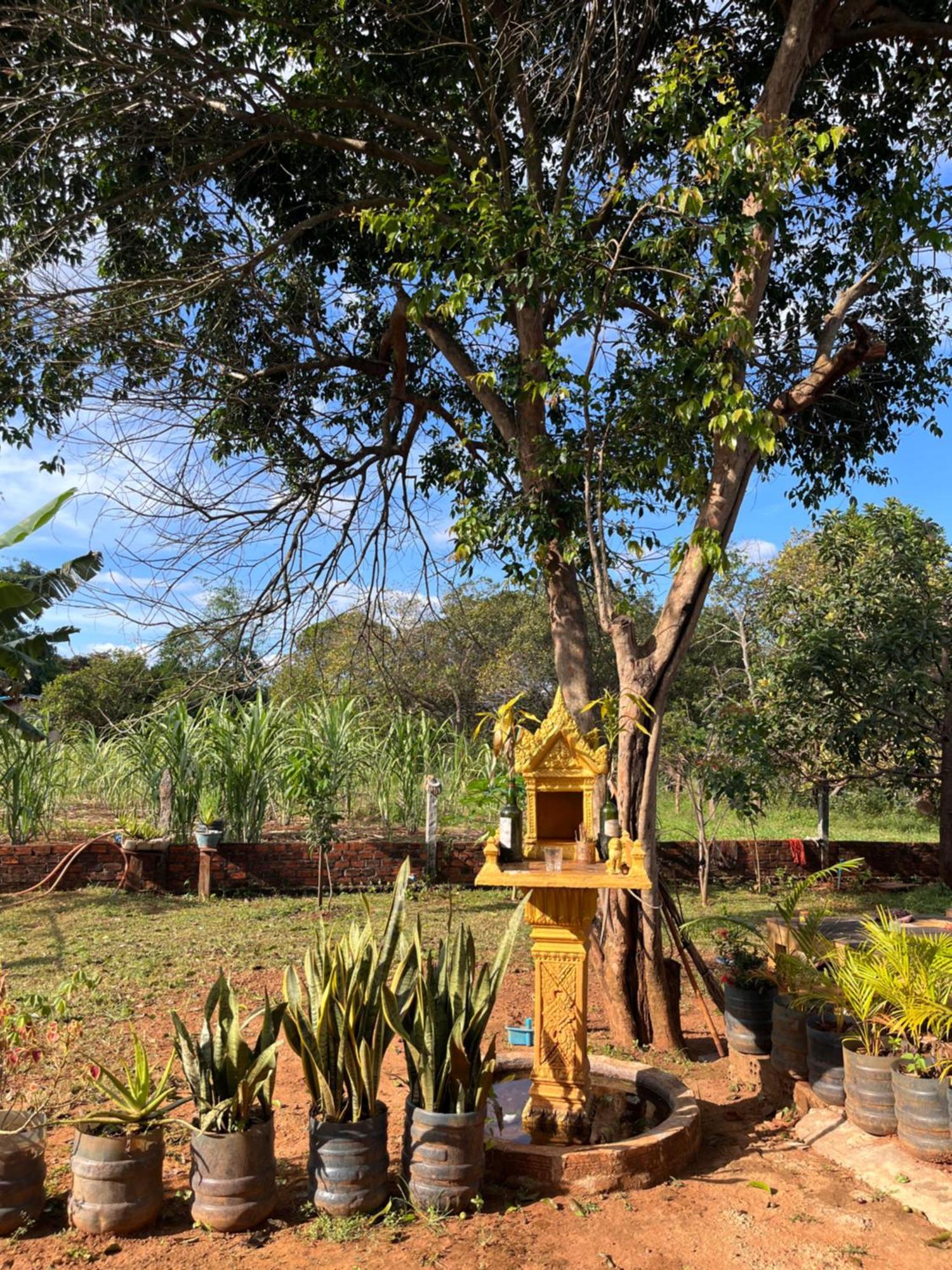 Ratanakiri Farmhouse & Trekking Banlung Exterior photo